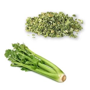 تصویر 5 از خرید عمده کرفس خشک بالسی صادراتی + کیفیت اعلا و قیمت رقابتی